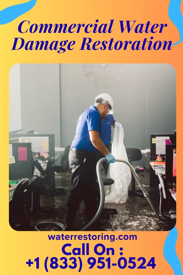 Commercial Water Damage Restoration in Lake Morton-Berrydale, WA